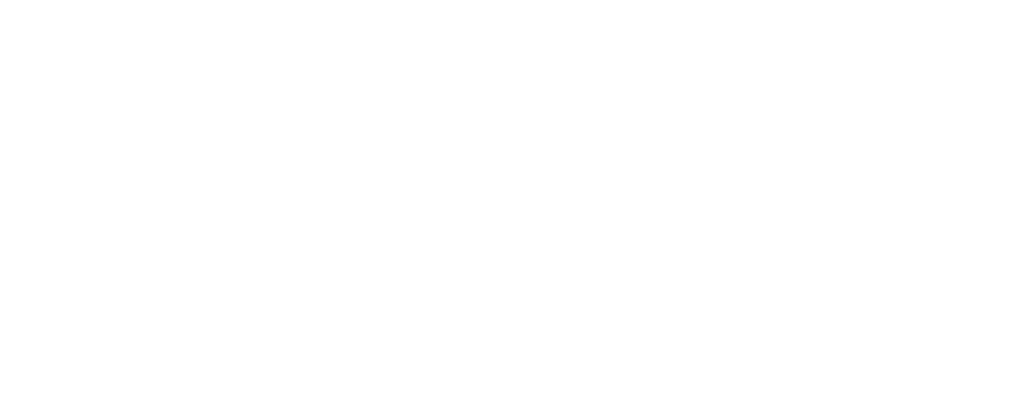 ZPP Śląsk Logo